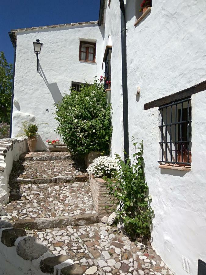 Conjunto Rural Casa Victoria Pensionat Villaluenga Del Rosario Eksteriør billede
